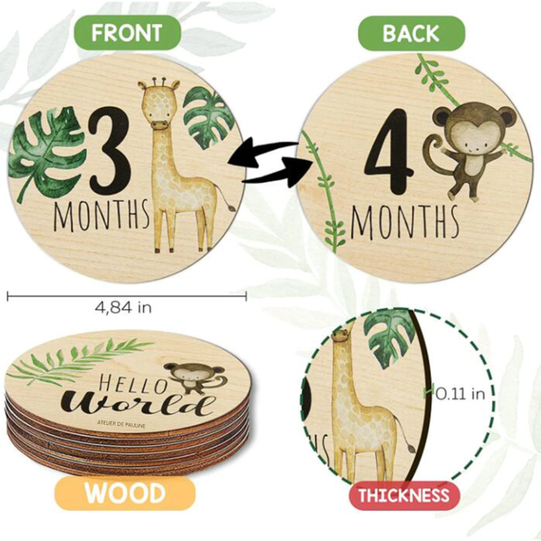 Monthly Wooden Cards for Babies