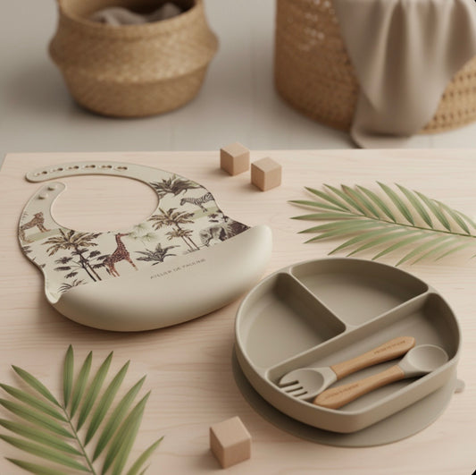 Silicone Meal Set